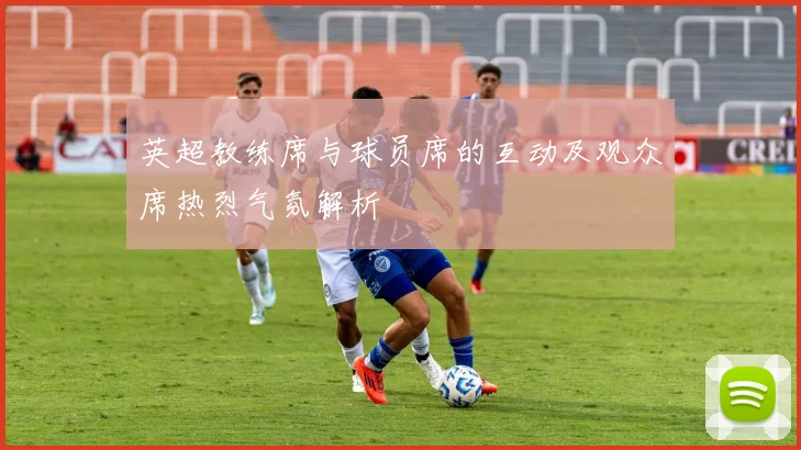 英超教练席与球员席的互动及观众席热烈气氛解析