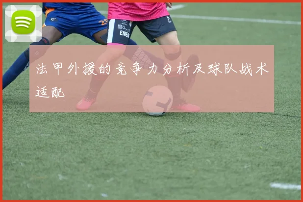 法甲外援的竞争力分析及球队战术适配