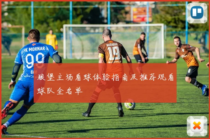 狼堡主场看球体验指南及推荐观看球队全名单