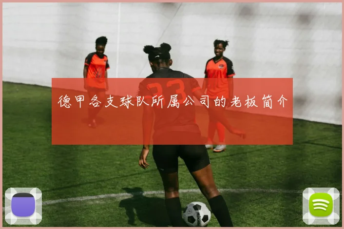 德甲各支球队所属公司的老板简介