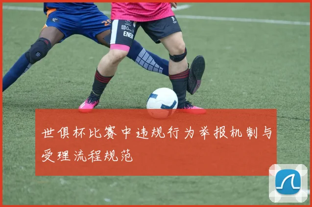 世俱杯比赛中违规行为举报机制与受理流程规范
