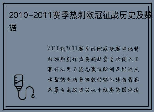 2010-2011赛季热刺欧冠征战历史及数据