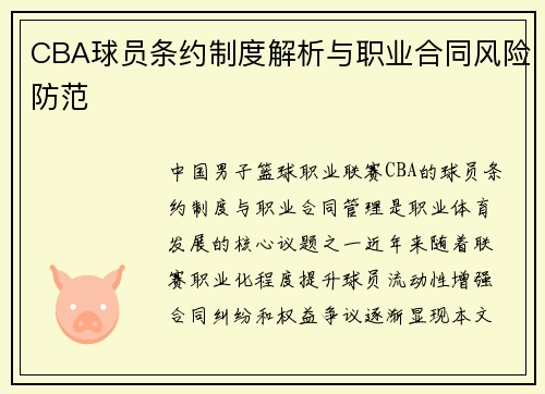 CBA球员条约制度解析与职业合同风险防范